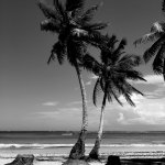 Beach.