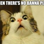 Scared Cat | WHEN THERE'S NO BANNA PIZZA | image tagged in memes,scared cat | made w/ Imgflip meme maker