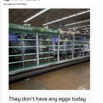 No Eggs