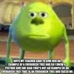 bruh | GUYS MY TEACHER SAID TO GIVE HER AN EXAMPLE OF A EVERGREEN TREE AND SO I DREW A PICTURE AND SHE SAID THAT'S NOT AN EXAMPLE OF AN EVERGREEN TREE THAT IS AN EVERGREEN TREE AND FAILED ME | image tagged in sully wazowski | made w/ Imgflip meme maker