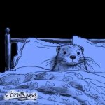ferret in a bed