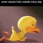 Why | My Sibling if I don't buy some snacks from outside every day | image tagged in gifs,memes,gif | made w/ Imgflip video-to-gif maker