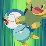 Turtwig kick Piplup meme