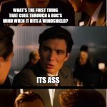 Inception | WHAT'S THE FIRST THING THAT GOES THROUGH A BUG'S MIND WHEN IT HITS A WINDSHIELD? ITS ASS | image tagged in memes,inception,dat ass,cool bug facts,mind blown | made w/ Imgflip meme maker