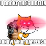 Scratch Cat with a gun | YOU BROKE THE GUIDELINES; YOU KNOW WHAT HAPPENS NOW | image tagged in scratch cat with a gun | made w/ Imgflip meme maker