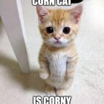 Corn Cat | CORN CAT; IS CORNY | image tagged in memes,cute cat | made w/ Imgflip meme maker