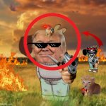 chaos in the field
