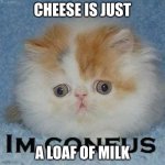 cat opinions on cheese | CHEESE IS JUST; A LOAF OF MILK | image tagged in c o n f u s c a t | made w/ Imgflip meme maker