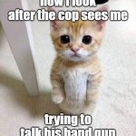 Cute Cat | how i look after the cop sees me; trying to talk his hand gun | image tagged in memes,cute cat,funny memes | made w/ Imgflip meme maker