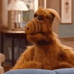 alf go away GIF Template