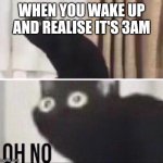 meme | WHEN YOU WAKE UP AND REALISE IT'S 3AM | image tagged in oh no cat,3am,idk,memes | made w/ Imgflip meme maker