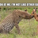 hmmm | LOOK AT ME, I'M NOT LIKE OTHER GUYS | image tagged in original cheetah petting deer meme | made w/ Imgflip meme maker