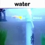 Lol | image tagged in gifs,memes,fish,flying,flying fish | made w/ Imgflip video-to-gif maker