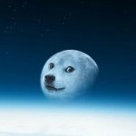 Dogemoon