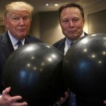 Trump Elon balls