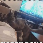 BFF | SUCH JOY ! HAPPY BOY ! | image tagged in gifs,dog,cat,funny,cute,animals | made w/ Imgflip video-to-gif maker