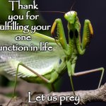 Praying Mantis Preying | Thank you for fulfilling your one function in life; Let us prey | image tagged in humor,funny,reactions,irony,humanity,psychology | made w/ Imgflip meme maker