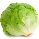 Lettuce  | image tagged in lettuce | made w/ Imgflip meme maker