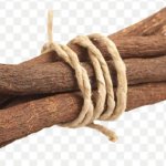 Bundle of sticks