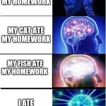 Expanding Brain | MY DOG ATE MY HOMEWORK; MY CAT ATE MY HOMEWORK; MY FISH ATE MY HOMEWORK; I ATE MY HOMEWORK | image tagged in memes,expanding brain | made w/ Imgflip meme maker