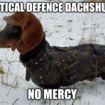 Russian dog | TACTICAL DEFENCE DACHSHUND; NO MERCY | image tagged in russian dog | made w/ Imgflip meme maker