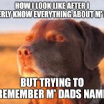 Dog close eye | HOW I LOOK LIKE AFTER I LITTERLY KNOW EVERYTHING ABOUT M' MOM; BUT TRYING TO REMEMBER M' DADS NAME | image tagged in dog close eye | made w/ Imgflip meme maker