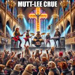 Mutt-ly crue | MUTT-LEE CRUE | image tagged in mutt-ly crue,dogs,funny dogs,motley crue,heavy metal | made w/ Imgflip meme maker