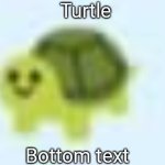 low quality turtle | Turtle; Bottom text | image tagged in low quality turtle | made w/ Imgflip meme maker