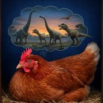 chicken dreams