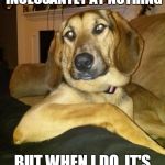 The Most Interesting Dog In The World | I DON'T ALWAYS BARK INCESSANTLY AT NOTHING BUT WHEN I DO, IT'S AT 3 IN THE MORNING | image tagged in the most interesting dog in the world | made w/ Imgflip meme maker