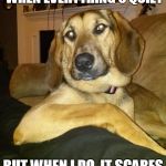The Most Interesting Dog In The World | I DON'T ALWAYS FART WHEN EVERYTHING'S QUIET BUT WHEN I DO, IT SCARES THE HELL OUT OF ME | image tagged in the most interesting dog in the world | made w/ Imgflip meme maker