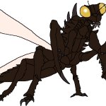 Isla Phanero's Mantis