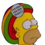 Homer Simpson Jamaican Hat