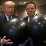 Trump Elon Big Balls
