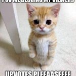 Cute Cat | POV ME BEGGING MY VIEWERS; UPVOTES PLEEAASEEEE | image tagged in memes,cute cat,upvote begging,relatable,upvote if you relate,oh wow are you actually reading these tags | made w/ Imgflip meme maker