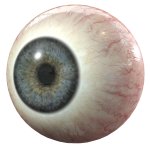 eye