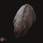 mole rat