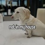 not in my house