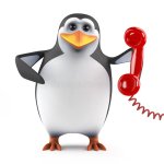 Penguin call