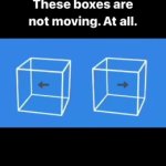 These boxes are not moving | image tagged in gifs,kewlew | made w/ Imgflip video-to-gif maker