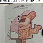 What your phone does when it gets .2 milligrams of water on it: | THE COPS: *PULLS OVER SOMEONE FOR HUMAN TRAFFICKING*
 
THE ANATOMY OF RICHARD WATTERSON: | image tagged in richard watterson anatomy,the amazing world of gumball,lol so funny,random bullshit go,memes,cops | made w/ Imgflip meme maker