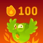 roasting duolingo