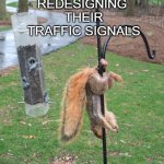 Philly Fans | PHILADELPHIA ALREADY 
REDESIGNING
 THEIR
 TRAFFIC SIGNALS | image tagged in squirrel nuts,philadelphia eagles,superbowl,sports fans,riot | made w/ Imgflip meme maker