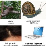 Slowest things | school laptops; 0.00000000000000000000000000008 bits/yr | image tagged in slowest things | made w/ Imgflip meme maker