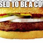 Hamburger | USED TO BE A COW | image tagged in hamburger | made w/ Imgflip meme maker