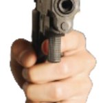 Gun