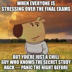 Chill guy | WHEN EVERYONE IS STRESSING OVER THE FINAL EXAMS; BUT YOU'RE JUST A CHILL GUY WHO KNOWS THE SECRET STUDY HACK — PANIC THE NIGHT BEFORE | image tagged in chill guy | made w/ Imgflip meme maker