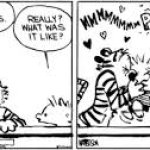 Calvin and Hobbes "have you ever kissed a girl?"