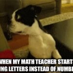 Numbers aren’t for math | WHEN MY MATH TEACHER STARTS USING LETTERS INSTEAD OF NUMBERS | image tagged in gifs,math,school,doge | made w/ Imgflip video-to-gif maker