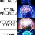 Expanding Brain | AVERAGE GOKU BRAIN; SERIOUS GOKU BRAIN; ULTRA SERIOUS GOKU BRAIN; KAKAROT | image tagged in memes,expanding brain | made w/ Imgflip meme maker